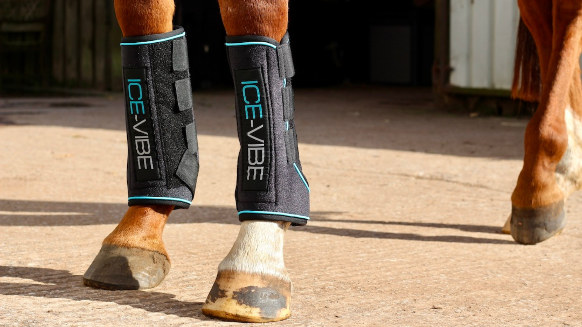 A Comprehensive Review of Ice Vibe Boots for Advanced Horse Leg Therapy